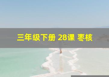 三年级下册 28课 枣核